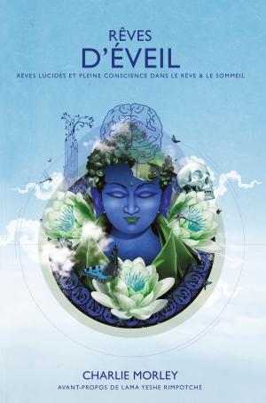 Cover of the book Rêves d'éveil by Joey Yap