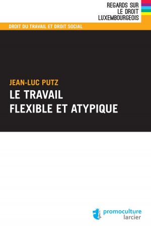 Cover of the book Le travail flexible et atypique by Marc Verdussen