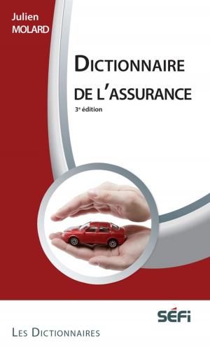 Cover of the book DICTIONNAIRE DE L'ASSURANCE 3e ed by Dean Mannix
