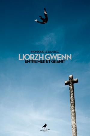 Cover of the book Liorzh Gwenn by Joan Hess