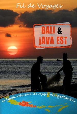Cover of the book BALI by Idrus F. Shahab et al.