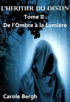 Cover of the book L'HÉRITIER DU DESTIN TOME II by M.A. Myers
