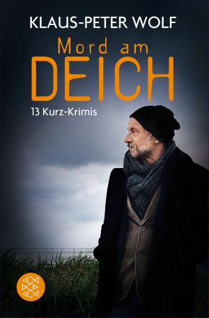 Book cover of Mord am Deich