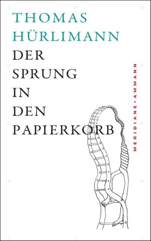 Cover of the book Der Sprung in den Papierkorb by Wolfgang Hilbig