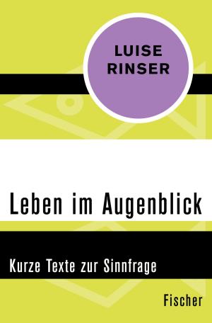 Cover of the book Leben im Augenblick by Otto Flake