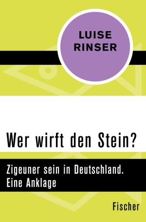 Book cover of Wer wirft den Stein?