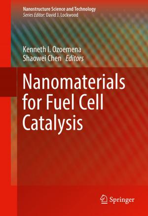 Cover of the book Nanomaterials for Fuel Cell Catalysis by Victor M. Panaretos