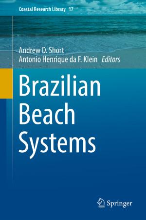 Cover of the book Brazilian Beach Systems by Waldemar Walczowski