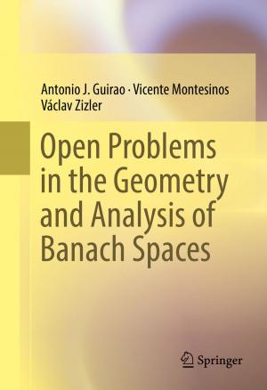 Cover of the book Open Problems in the Geometry and Analysis of Banach Spaces by Mario Comana, Daniele Previtali, Luca Bellardini