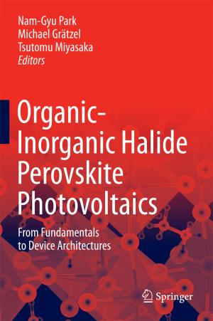 Cover of the book Organic-Inorganic Halide Perovskite Photovoltaics by Giuseppe Gaeta, Miguel A. Rodríguez