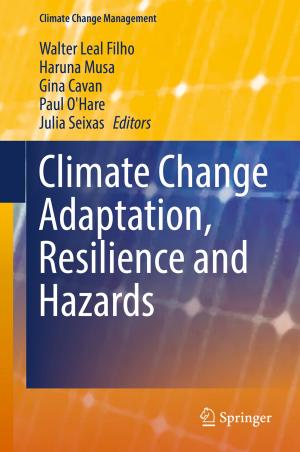 Cover of the book Climate Change Adaptation, Resilience and Hazards by Aristomenis S. Lampropoulos, George A. Tsihrintzis