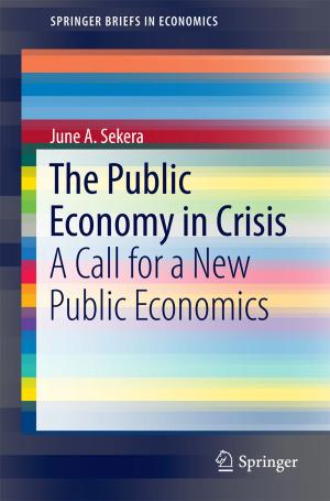 Cover of the book The Public Economy in Crisis by Fábio A. O.  Fernandes, Ricardo J. Alves de Sousa, Mariusz Ptak