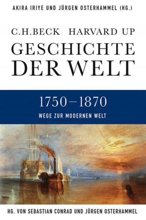 Cover of the book Geschichte der Welt Wege zur modernen Welt by Helmut Obst