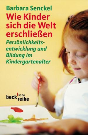 Cover of the book Wie Kinder sich die Welt erschließen by Johannes Fried