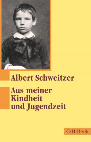 Cover of the book Aus meiner Kindheit und Jugendzeit by Volker Schultz