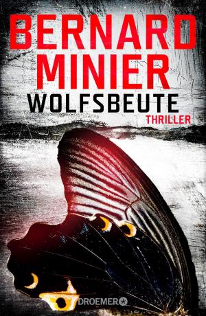 Cover of the book Wolfsbeute by Anna von Griesheim