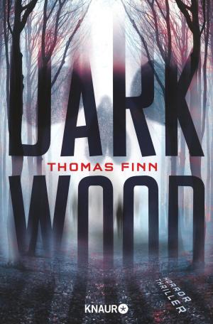 Cover of the book Dark Wood by Simone Buchholz