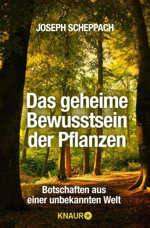 Cover of the book Das geheime Bewusstsein der Pflanzen by Andreas Franz, Daniel Holbe