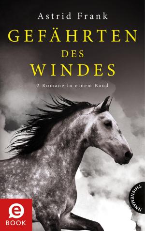 Book cover of Gefährten des Windes