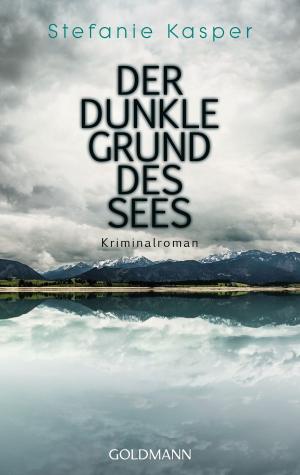 Cover of the book Der dunkle Grund des Sees by Amy Tan