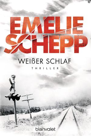 Cover of the book Weißer Schlaf by Joe Schreiber