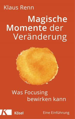 Cover of the book Magische Momente der Veränderung by Niklaus Brantschen SJ, Bernhard Stappel