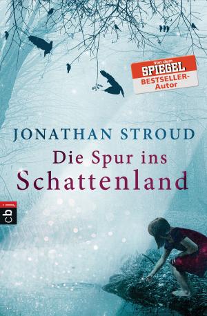 Cover of Die Spur ins Schattenland