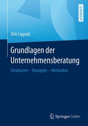 Cover of the book Grundlagen der Unternehmensberatung by Andreas Kost