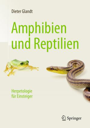 Cover of the book Amphibien und Reptilien by Frederick Marcus