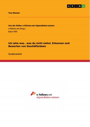 Cover of the book Ich sehe was , was du nicht siehst. Erkennen und Bewerten von Geschäftsideen by Maik Philipp