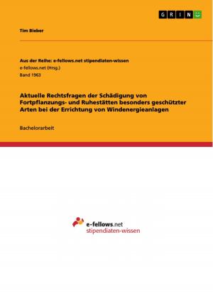 Cover of the book Aktuelle Rechtsfragen der Schädigung von Fortpflanzungs- und Ruhestätten besonders geschützter Arten bei der Errichtung von Windenergieanlagen by Ina Klukas