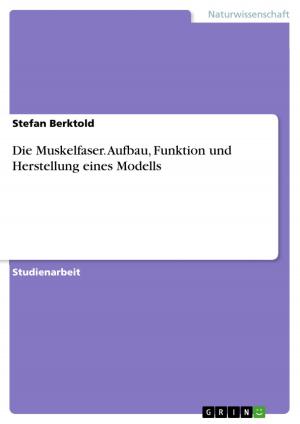 Cover of the book Die Muskelfaser. Aufbau, Funktion und Herstellung eines Modells by Franziska Müller
