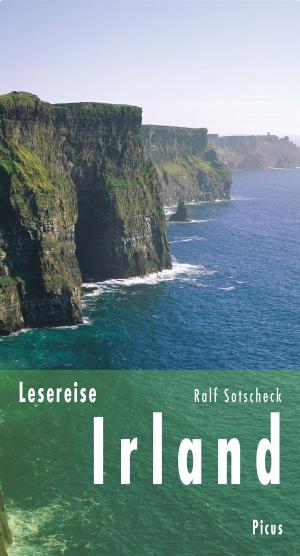 Book cover of Lesereise Irland