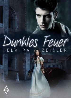 Book cover of Dunkles Feuer