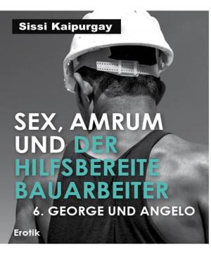 Cover of the book Sex, Amrum und der hilfsbereite Bauarbeiter by Wilfried A. Hary, Werner K. Giesa