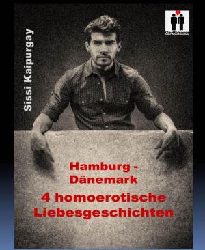 Cover of the book Hamburg - Dänemark by Alfred Wallon