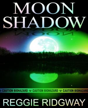 Cover of the book Moon Shadow by Horst Weymar Hübner
