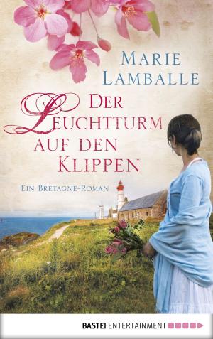 Cover of the book Der Leuchtturm auf den Klippen by Wolfgang Hohlbein