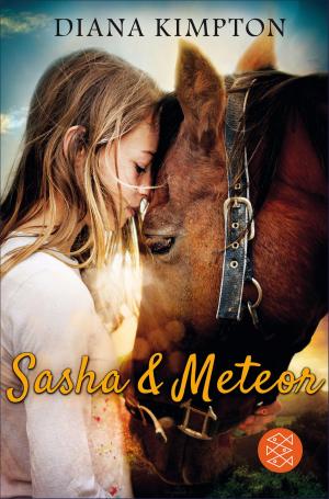 Cover of the book Sasha & Meteor by Gillian Philip