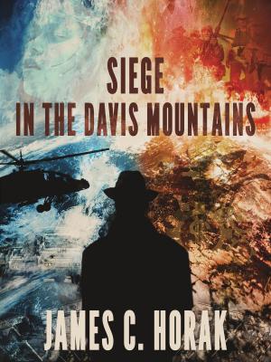 Book cover of Siege in the Davis Mountains