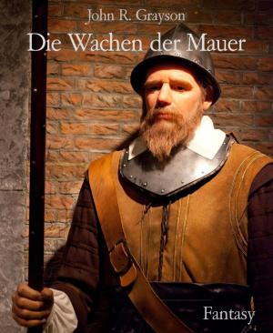 Cover of the book Die Wachen der Mauer by Wilfried A. Hary, Werner K. Giesa