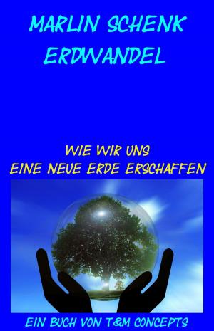 Cover of the book Erdwandel by Joachim Stiller