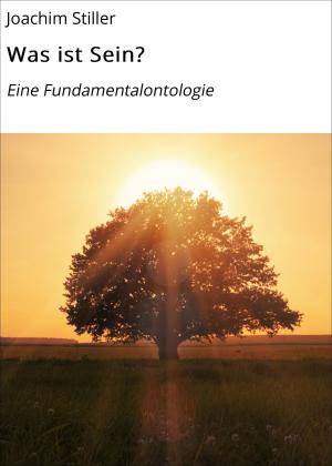 Cover of the book Was ist Sein? by Marc Lindner