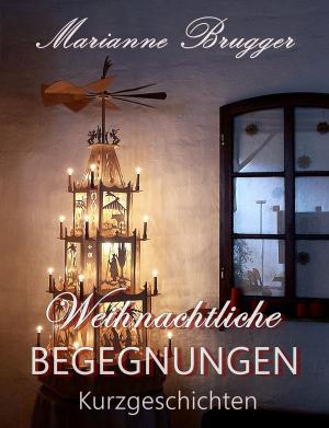 Book cover of Weihnachtliche Begegnungen