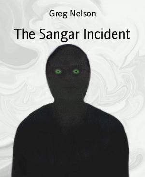 Cover of the book The Sangar Incident by Herman Melville