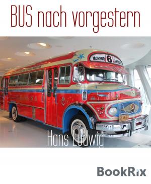 Cover of the book BUS nach vorgestern by Betty J. Viktoria