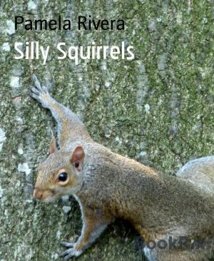 Cover of the book Silly Squirrels by Danny Wilson