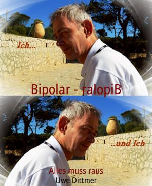 Cover of the book Bipolar - ralopiB by Martin Barkawitz