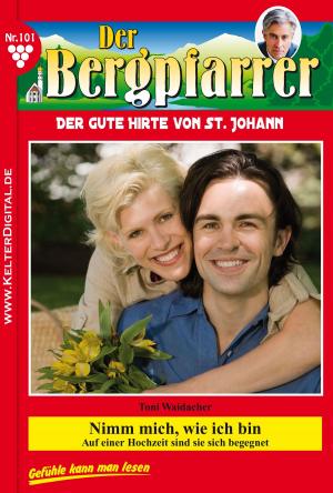 Book cover of Der Bergpfarrer 101 – Heimatroman