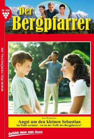Cover of the book Der Bergpfarrer 400 – Heimatroman by U.H. Wilken